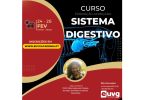 EUVG Academia realiza curso sobre sistema digestivo