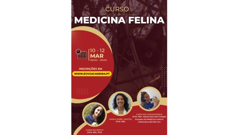 Medicina Felina é o novo curso da EUVG Academia