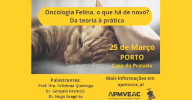 APMVEAC promove formação em oncologia felina