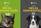 Centro de Atendimento Veterinário Escolar promove “Abril, mês da desparasitação”