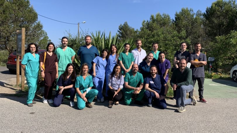 VetPartners Portugal promoveu curso de formação de cirurgia e urgências
