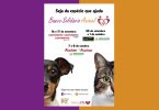 Banco Solidário Animal (BSA) regressa com campanha de recolha de alimentação