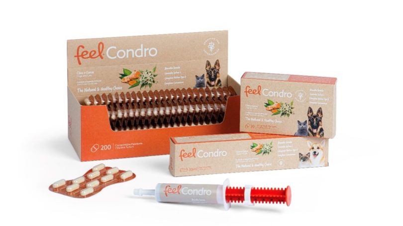 FeelCondro vai auxiliar na proteção articular de cães e gatos