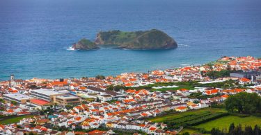 Cada euro gasto na veterinária nos Açores gera mais 34 cêntimos na economia