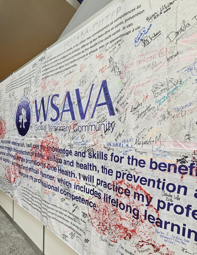 WSAVA distinguida como Associação Internacional do Ano em prémios globais de associações