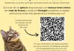 Investigadores lançam questionário para tutores sobre gatos com doença renal crónica