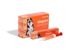Protetor articular para cães e gatos integra a nova linha Glopety+