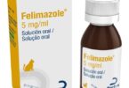 Dechra disponibiliza Felimazole em solução oral