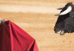 Inquérito revela que a maioria dos portugueses, espanhóis e franceses é contra touradas