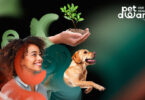 “One Health Pet Awards”: projeto premeia iniciativas na área da saúde e bem-estar animal