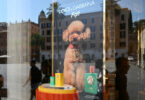 Dolce&Gabbana lança perfume para cães. Organizações de bem-estar animal contestam