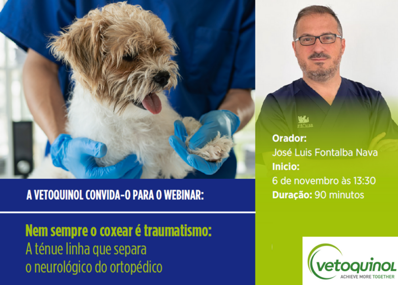Vetoquinol dinamiza webinar sobre a importância dos pontos-chave para um diagnóstico correto