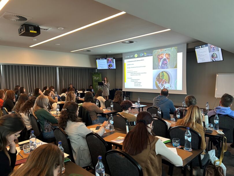 Oftalmologia veterinária em debate em seminários da Plurivet