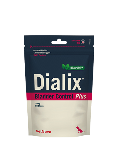 Há um novo alimento complementar com fórmula vegana para o sistema urinário dos cães