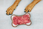 Mais de 5% dos tutores em Espanha admitem usar dietas à base de carne crua