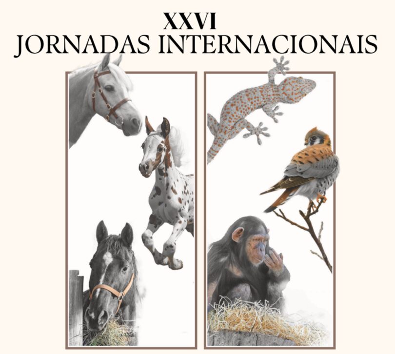 Jornadas Internacionais de Medicina Veterinária acontecem em março