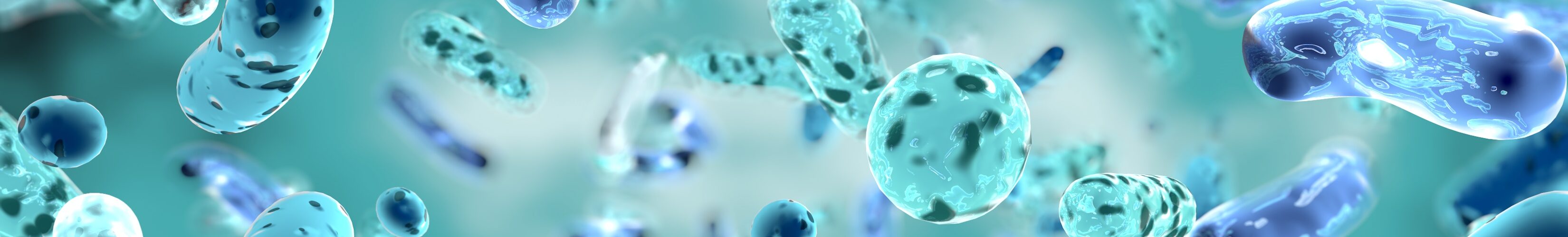 WOAH adota plano global contra resistência aos antimicrobianos para a próxima década