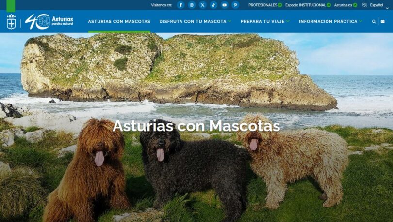Astúrias lança site para promover turismo pet friendly