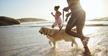AniCura revela cuidados a ter para garantir o bem-estar dos animais durante as férias