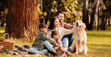 Famílias espanholas gastam mais de 1.000 euros por ano com animais de companhia
