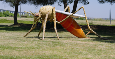 LETI Pharma promove campanha de sensibilização contra a leishmaniose