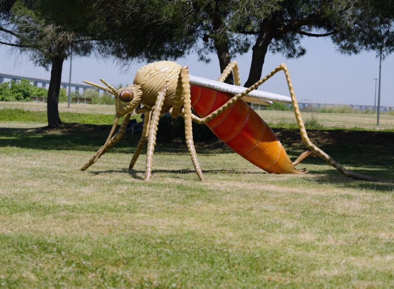 LETI Pharma promove campanha de sensibilização contra a leishmaniose