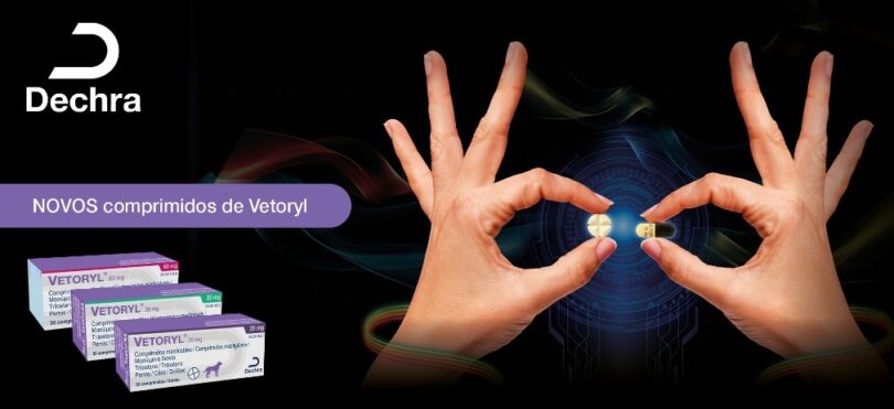 Dechra lança comprimidos mastigáveis para tratamento da síndrome de Cushing