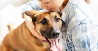 Tutores nos EUA colocam bem-estar emocional dos seus animais acima da saúde física