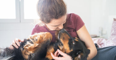 Revisão científica identifica cães como principais hospedeiros de doenças zoonóticasc