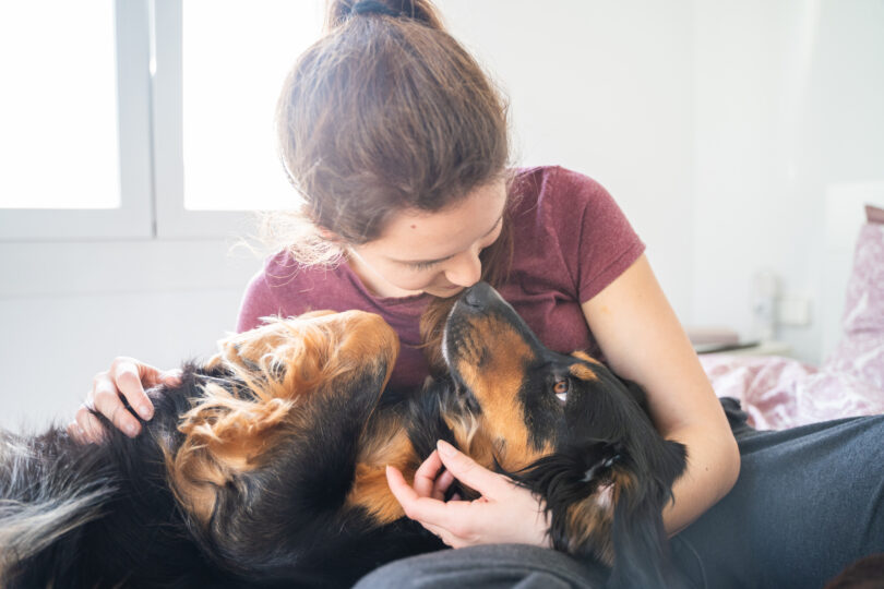 Revisão científica identifica cães como principais hospedeiros de doenças zoonóticasc