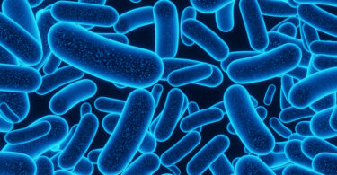 Resistência antimicrobiana no ambiente continua a ser negligenciada, alertou estudo