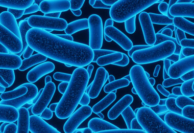 Resistência antimicrobiana no ambiente continua a ser negligenciada, alertou estudo