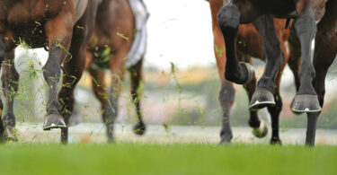 Mais tempo em pasto e desmame tardio aumentam desempenho de cavalos puro-sangue