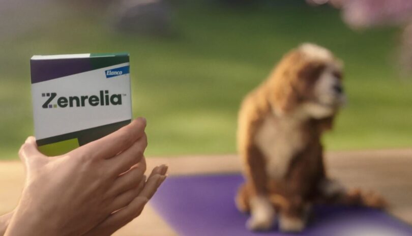 Elanco lança Zenrelia em Portugal: Nova solução para dermatologia canina recebe aprovação