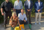 Provedoria do Animal, IRA e Câmara de Lisboa unem-se para apoiar mega colónia de gatos