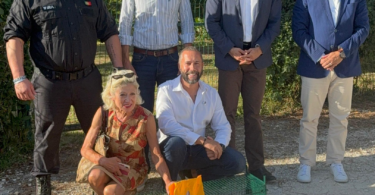 Provedoria do Animal, IRA e Câmara de Lisboa unem-se para apoiar mega colónia de gatos