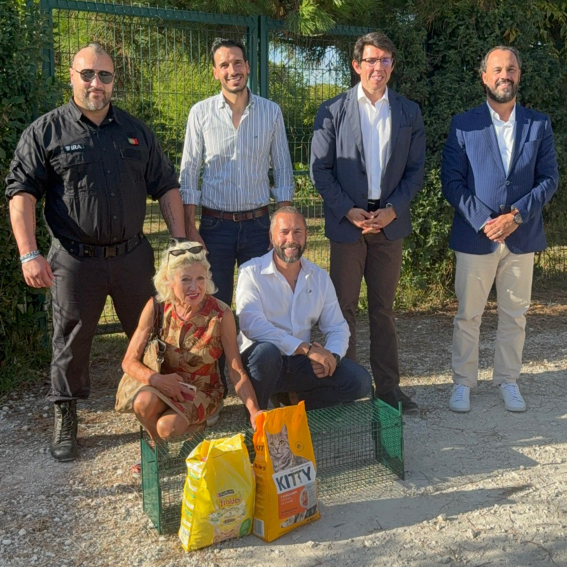 Provedoria do Animal, IRA e Câmara de Lisboa unem-se para apoiar mega colónia de gatos