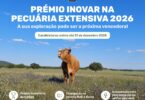 Estão abertas as candidaturas ao Prémio Inovar na Pecuária Extensiva 2026