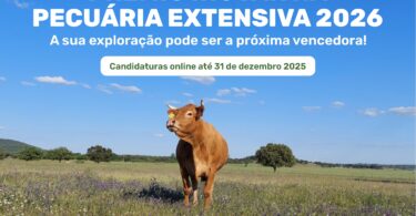 Estão abertas as candidaturas ao Prémio Inovar na Pecuária Extensiva 2026