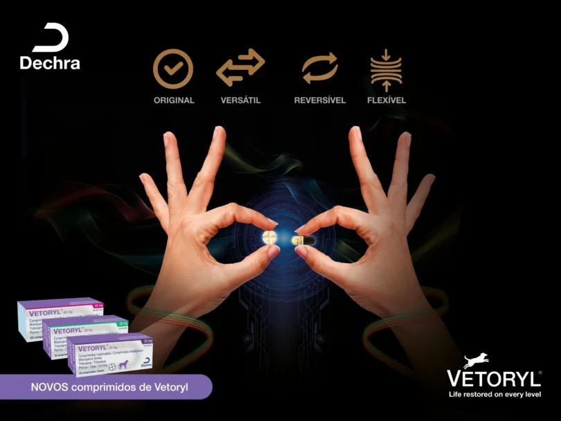 Dechra lança guia prático para veterinários sobre a doença de Cushing