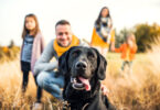 Estudo revelou que cães são cada vez mais vistos como membros da família
