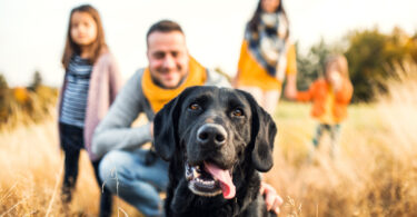 Estudo revelou que cães são cada vez mais vistos como membros da família