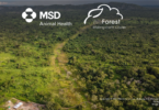 MSD Animal Health e WeForest assinalam 10 anos com 297 mil árvores plantadas em 3 continentes