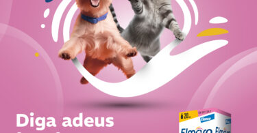 Elanco introduz em Portugal tratamento para vómitos e náuseas em cães e gatos