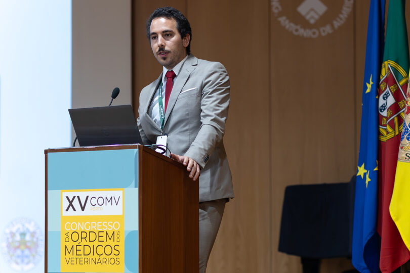 Miguel Lourenço, presidente do CJMV: “O futuro da medicina veterinária em Portugal está em risco”