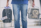 Tribunal Europeu decide que animais de companhia contam como bagagem em viagens de avião