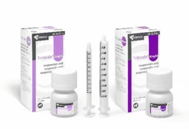 Ecuphar lança nova solução oral para a síndrome de Cushing em cães