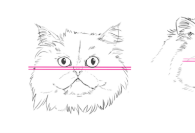 A problemática das raças felinas da “moda”: quando a aparência compromete o bem-estar