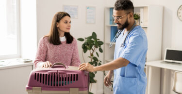 AniCura alerta para o stress em cães e gatos durante as visitar ao veterinário