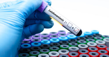 LETI Pharma formou mais de 2.400 profissionais em leishmaniose durante 2025